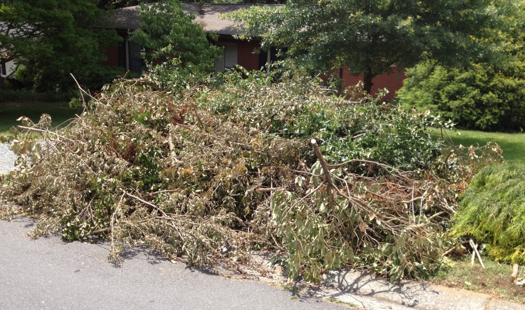 Junk removal, haul away, clean up services, yard waste removal, fallen tree removal